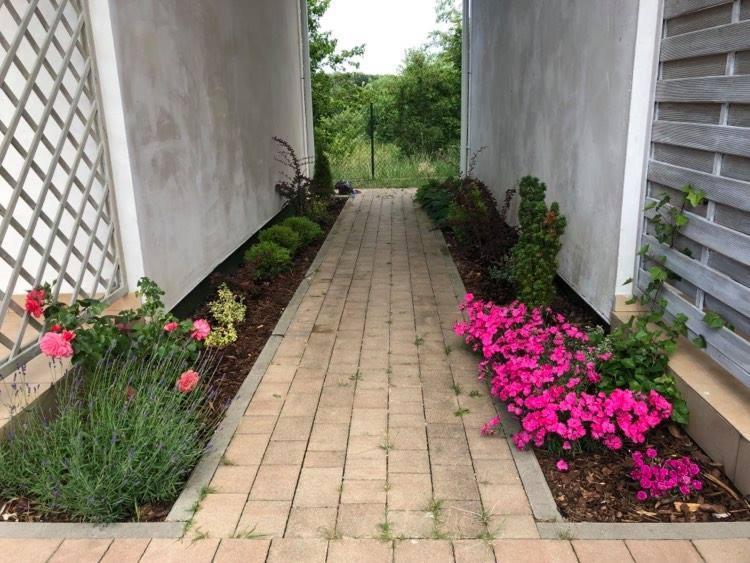 Biale Domki Jastrzębia Góra Exterior foto