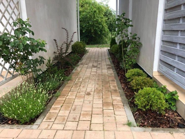 Biale Domki Jastrzębia Góra Exterior foto